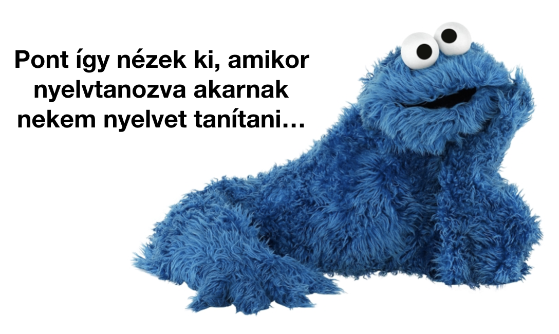 cookie monster learning.png
